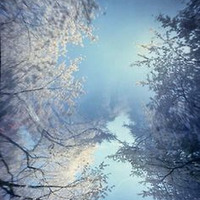 Winter Moonlight Session by PsyB3RD3LIXX