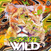 GOSIZE - WILD ( Original Mix ) 20/02/2017on Stores by Dizzines Records