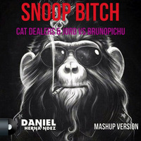 Cat Dealers &amp; Jord Vs Brunopichu - Snoop Bitch (Daniel Hernandez Mashup) by Daniel Alejandro Hernández