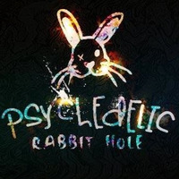 Audiofilius - LIVE@Psychedelic Rabbit Hole 05.11.16 by Klangkueche