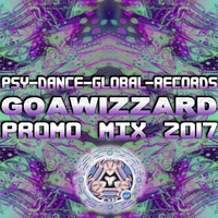 Goawizzard - Promomix 2017 (Psy-Dance-Global Rec,HH/Germany) by Goawizzard Project Hamburg