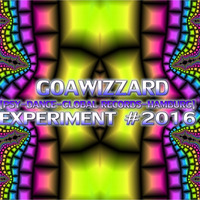 Goawizzard - Experiment #2016 by Goawizzard Project Hamburg