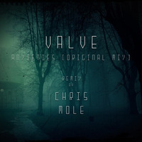 VALVE - Anxieties (Chris Mole Remix) by Chris Mole