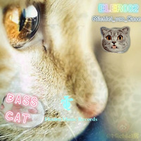 Michiel van Case - Bass Cat (Original Mix)授权发布 by Michiel van Case