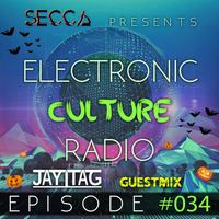 Secca Presents: Electronic Culture Radio #034 [JAYTAG Halloween Guestmix] by ALTREAL
