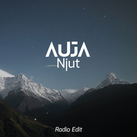 Njut (radio Edit) by AUJA