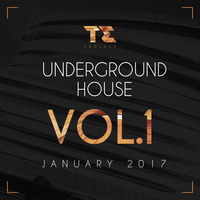 T.E PROJECT UNDERGROUND HOUSE Vol.1 (January 2017) by T.E Project