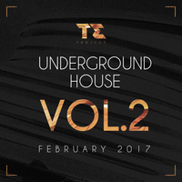 T.E PROJECT UNDERGROUND HOUSE Vol.2 (February 2017) by T.E Project