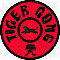 Tiger Gong Mix Hard 2016 by Tiger Gong
