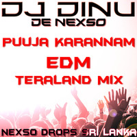 Puuja Karannan EDM Teraland Mix by Dinu De Nexso