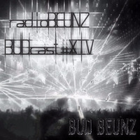 radioBEUNZ-BUDcast#14 by bud beunz