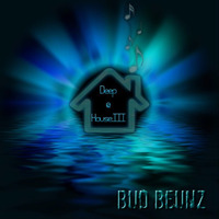 DEEP@HOUSE.III by bud beunz