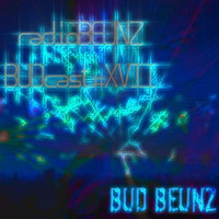 radioBEUNZ-BUDcast#17 by bud beunz