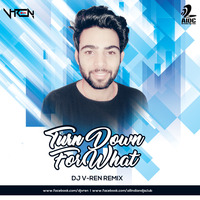 Turn Down For What Feat. Lil Jon - DJ V-REN by AIDC