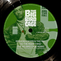 Redhead Kingpin &amp; The F.B.I. - Do The Right Thing (The Big Bird Cage Remix) (FREE DOWNLOAD) by The Big Bird Cage