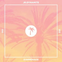 SOUL OF SYDNEY 313: Summénage Mix 012 - JR Dynamite by SOUL OF SYDNEY| Feel-Good Funk Radio