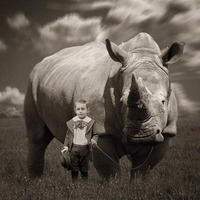 Little Rhino by Auster Music