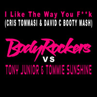 I like the way you f**k (Cris Tommasi &amp; David C Booty Mash) by Cris Tommasi
