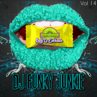 Funky Flavor - Linda B Radio Show Vol.14 by dj fUNKY jUNKiE