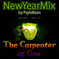 PsyloBean@The Carpenter of Goa ॐ Sylvester 2016-2017 by PsyloBean / AUGUUN