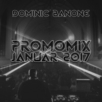 Dominic Banone - Promomix Januar 2017 by Dominic Banone
