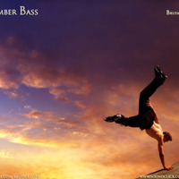 Remember Bass          [ BB ] by BRUTAL BASS  [ BB ]