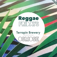 Osmose - LIVE @TerrapinBeerCo For Reggae Fridays #3 by Osmose