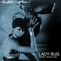 Lady Bug (Akim B rebounce edit) by Dj Akim B.