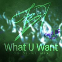 What U Want (Original Mix Preview) by BADWOR7H