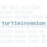 30 minute mini mix - Turtle Muzik by Turtle Invasion