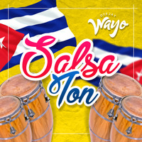 DJ Wayo - Mix Salsaton 2017 by Dj Wayo