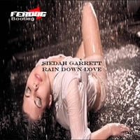 Siedah Garrett - Rain Down Love (FeRDoG Bootleg) by Fernando Gallardo a.k.a. FeRDoG