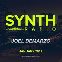 SYNTH Radio Jan '17: Joel Demarzo by Grigor R. Barseghyan