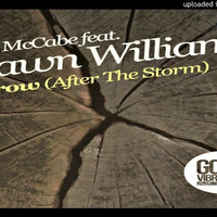 Sean McCabe, Dawn Williams - Grow (After The Storm) (Sean McCabe Patterns Vocal) [Good Vibratiou by Stefyna Red