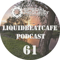 SkyLabCru - LiquidBeatCafe Podcast #61 by SkyLabCru [LiquidBeatCafe Podcast]