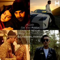 Alizeh ◾ See You Again ◾ Channa Mereya ◾ I Hate You I Love You - DJ Harshal Mashup by DJ Harshal