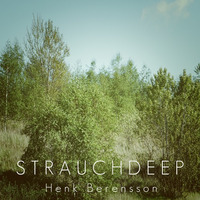 Henk Berensson | Strauchdeep by Henk Berensson