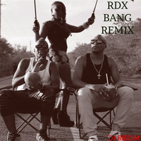 RDX - Bang - Remix by DJ Riddim