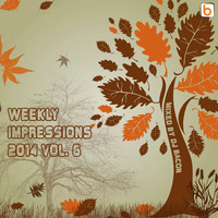 Weekly Impressions 2014 vol.6 by Dj Bacon