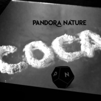 Pandora Nature - COCAINE by Pandora Nature