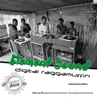 Digital Raggamuffin by Element Sound