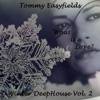 Tommy Easyfields - //What is Love// Winter DeepHouse Vol. 2 by Tommy Easyfields