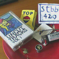 STBB 420 by G.P. Bear