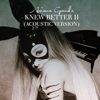 Knew Better Part II (Acoustic Version) by dominic_navos