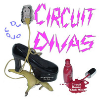 Circuit Divas by JoJo Pineau