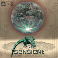 AGENT MUSHROOM DJset Teaser for Sensient in K4 by HiGashi aka Agent Mushroom