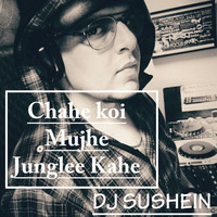 Chahe Koi Mujhe Junglee Kahe - Dj Sue aka Sushein Remix by DJ Sue Project