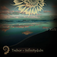Trebor - Infinitydubs 01.2017 by Trebor