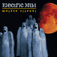 Electric Mud - Frozen Images by Electric Mud
