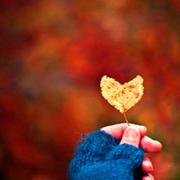 Autumn In My Heart by Seno Li Smail